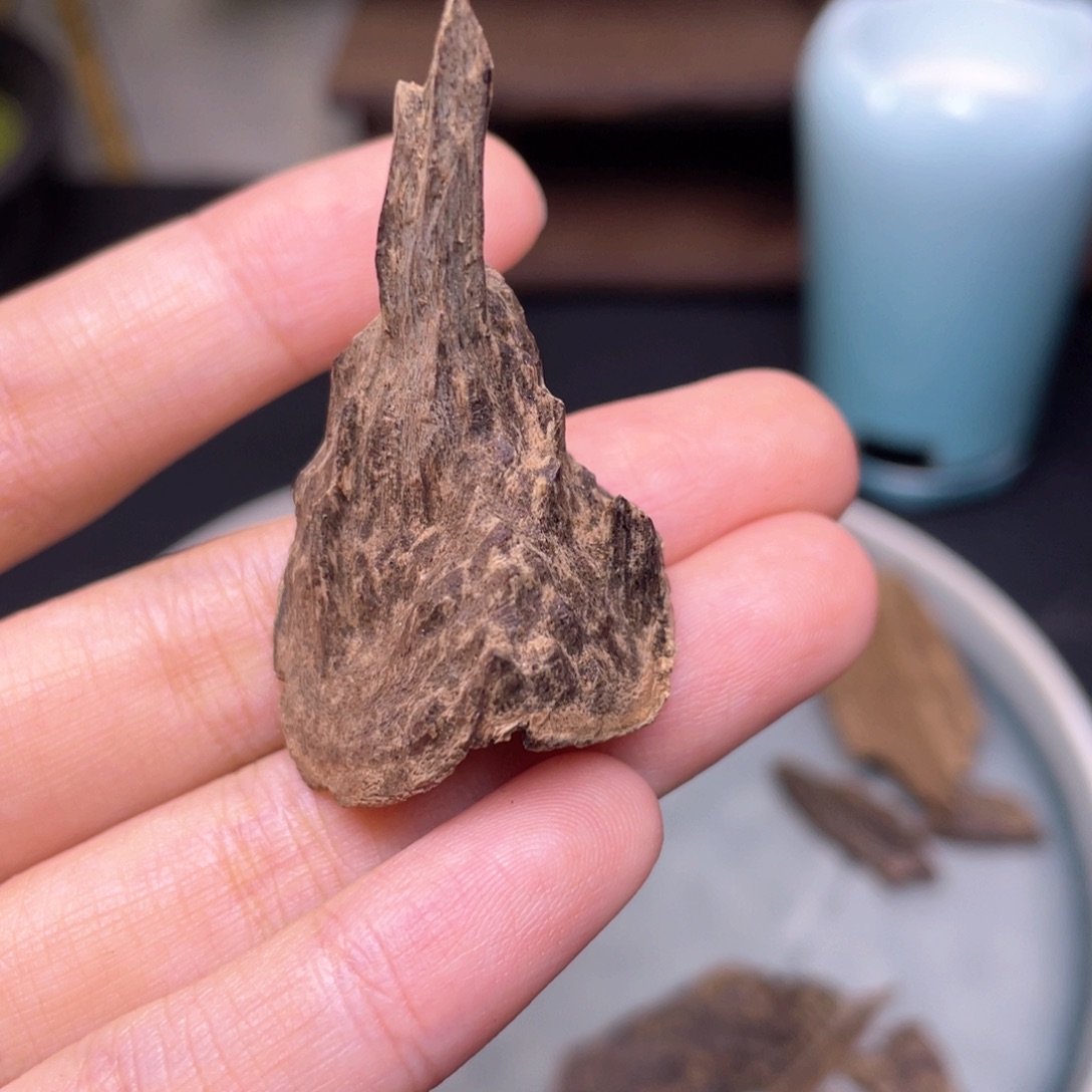 1.6克海南尖峰沉水老包壳