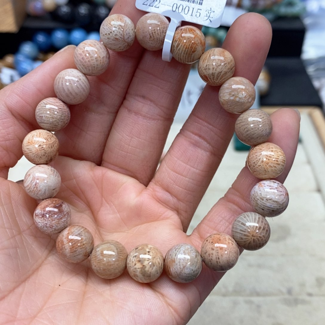 硅化珊瑚（珊瑚玉）手链未镶嵌016