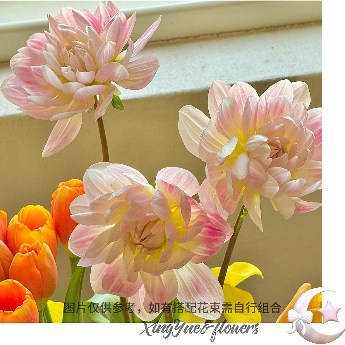 【星玥鲜花】凯尔盖安大丽花 大丽花中的女明星