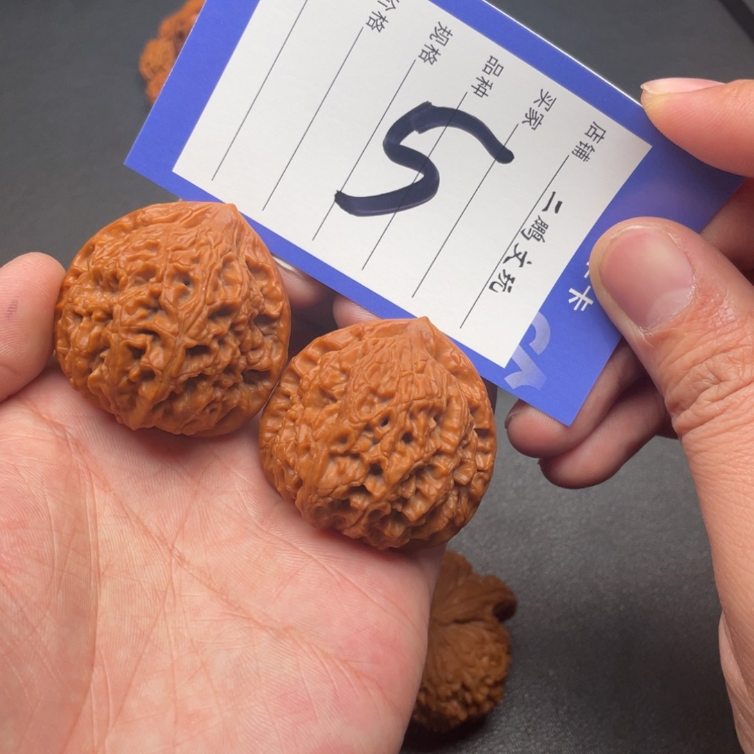 文玩核桃把件盘**它水龙纹41