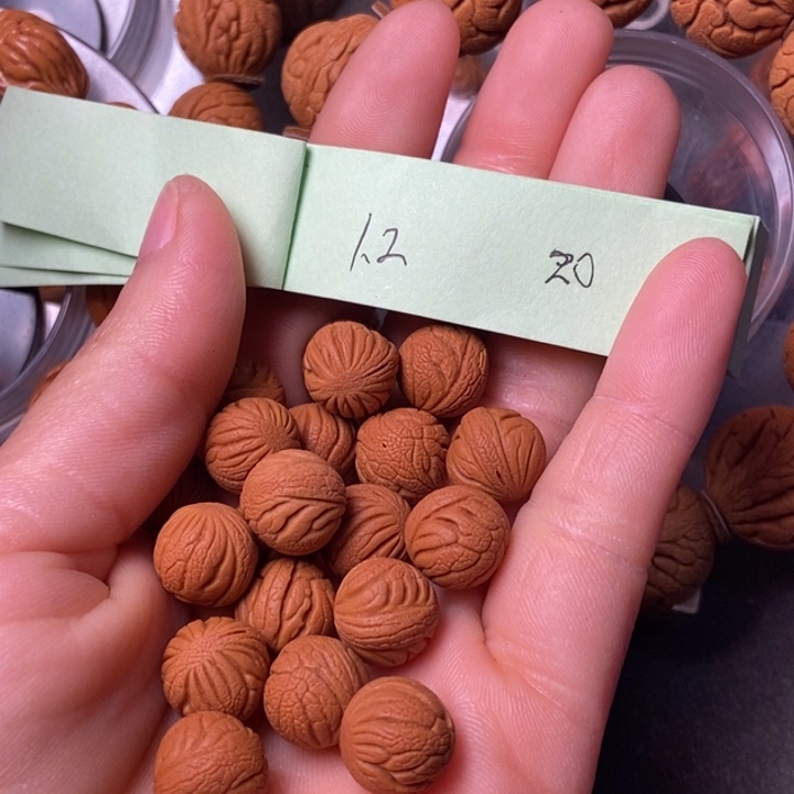 吊坠桃核陕西秦岭山桃核