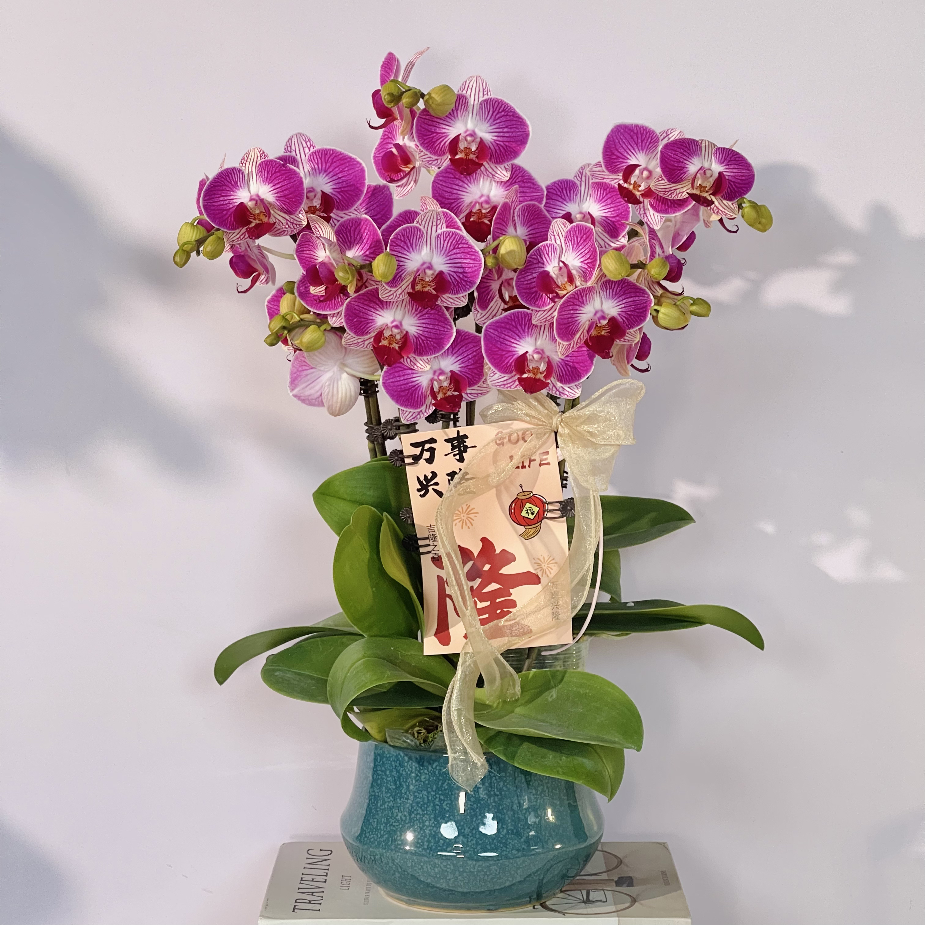 【霓虹灯】新年福利 新品 高性价比