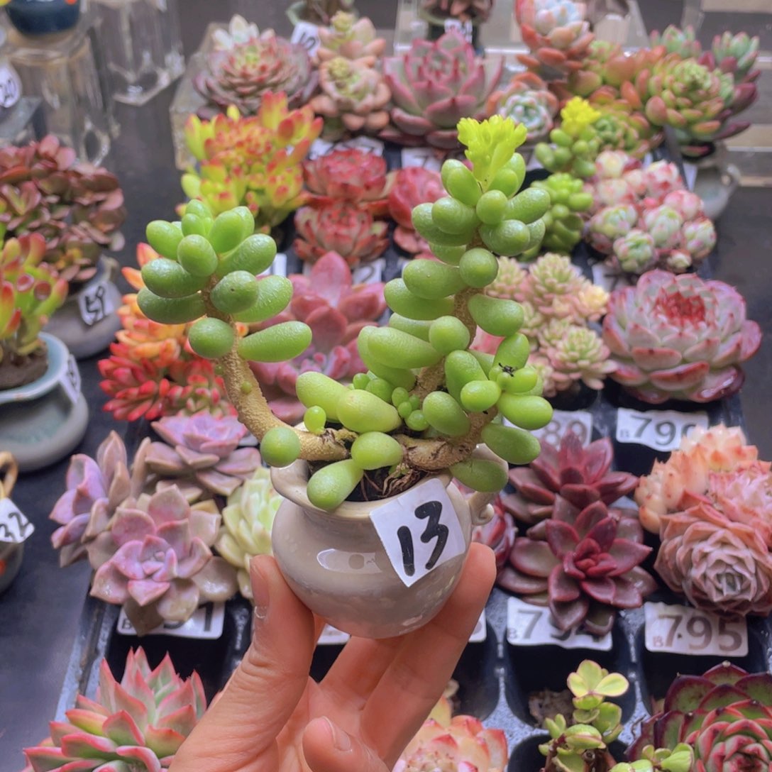 微*笑花器花器花器花器