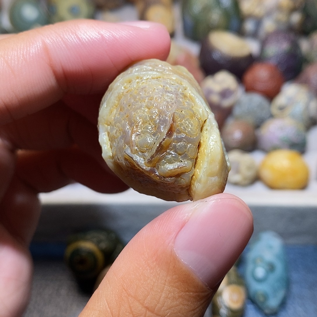 石头精品筋脉单科