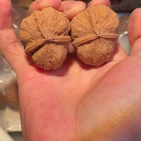 文玩核桃把件碟桩玉璧带彩41