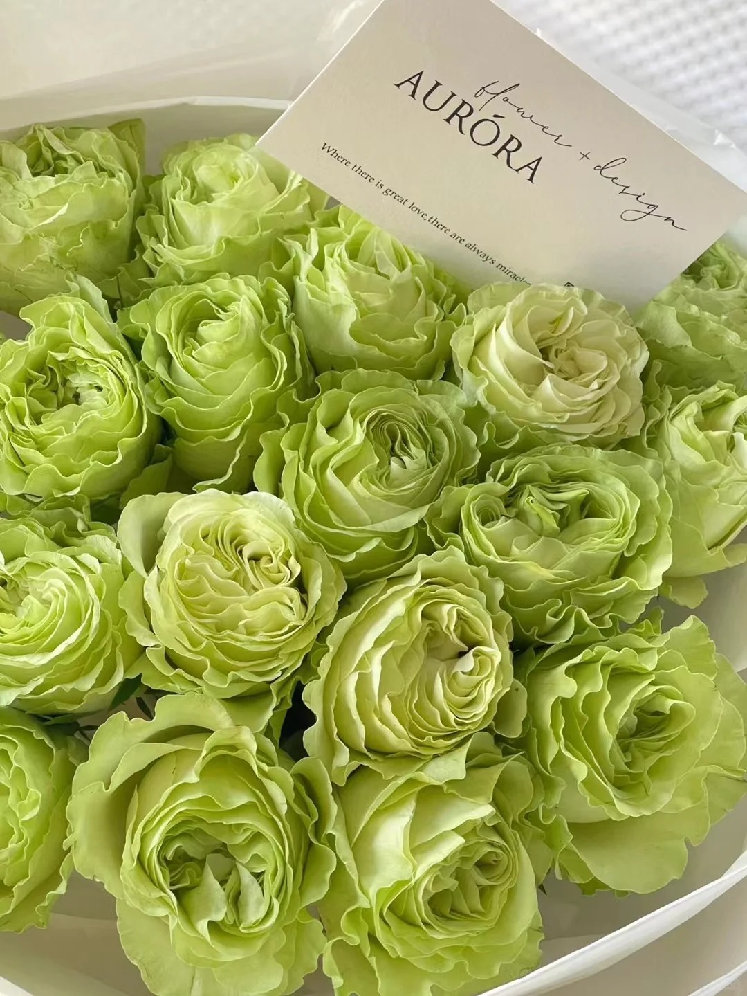 【花汀私享】小乔-单头玫瑰（注意带包装醒花哦~）