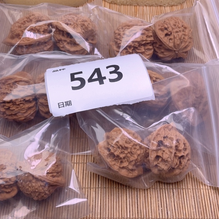 文玩核桃把件543号6对