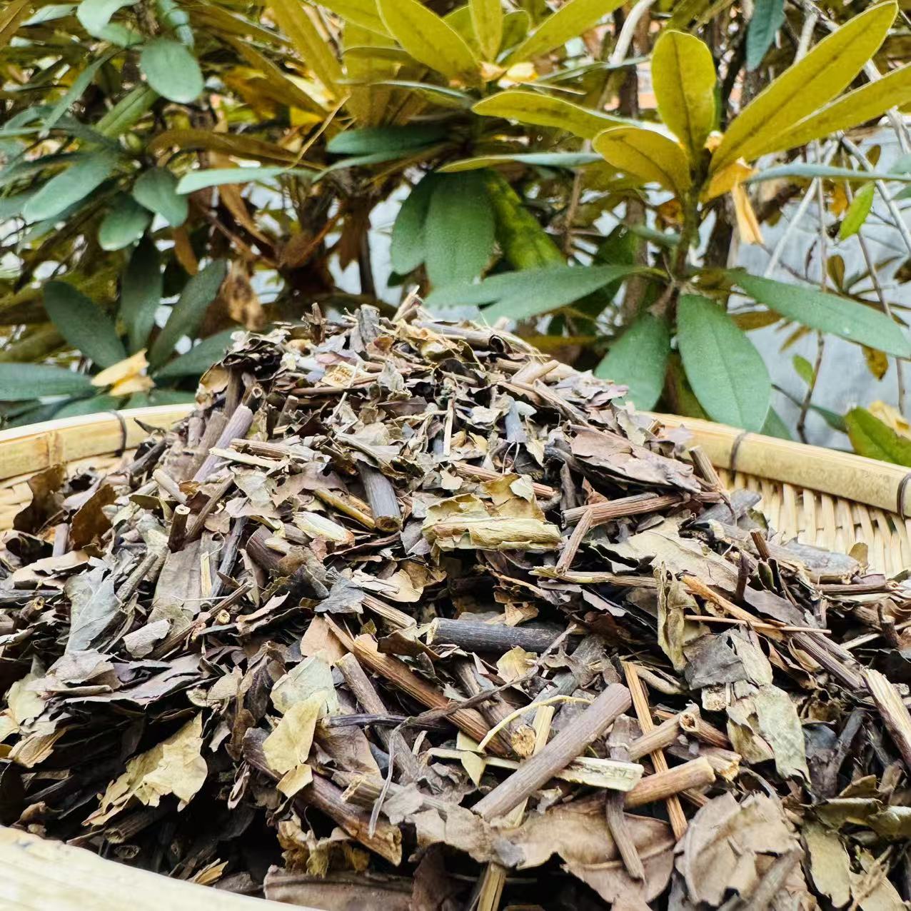 1【消-Y-大-王】净含量200g-1000g【阿虎现收】菌