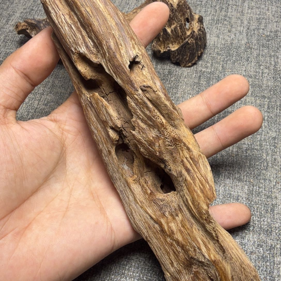 香榧木海南临高红土58克