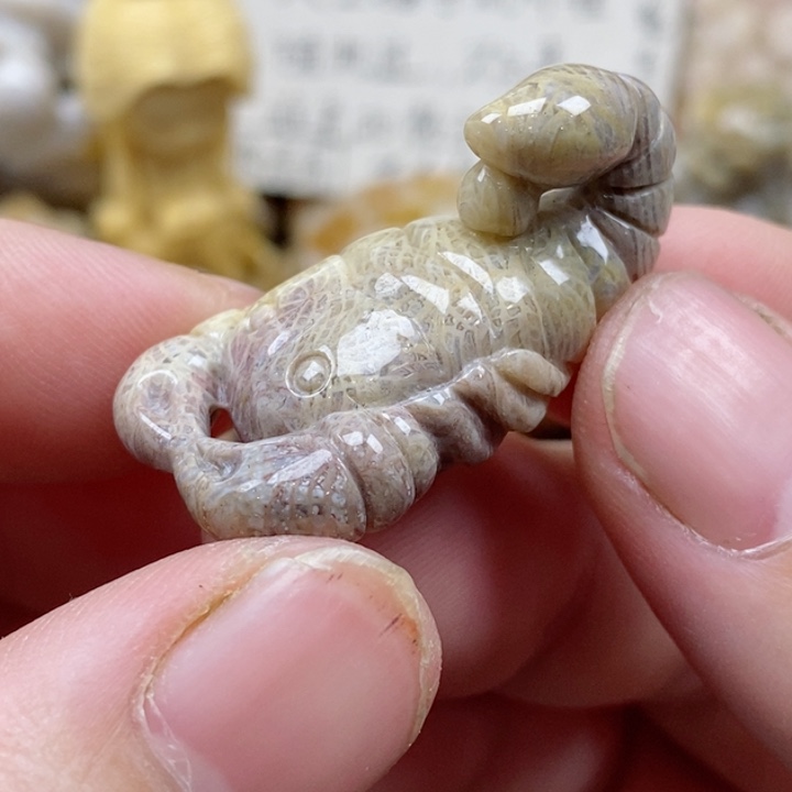 颈饰未镶嵌硅化珊瑚（珊瑚玉）