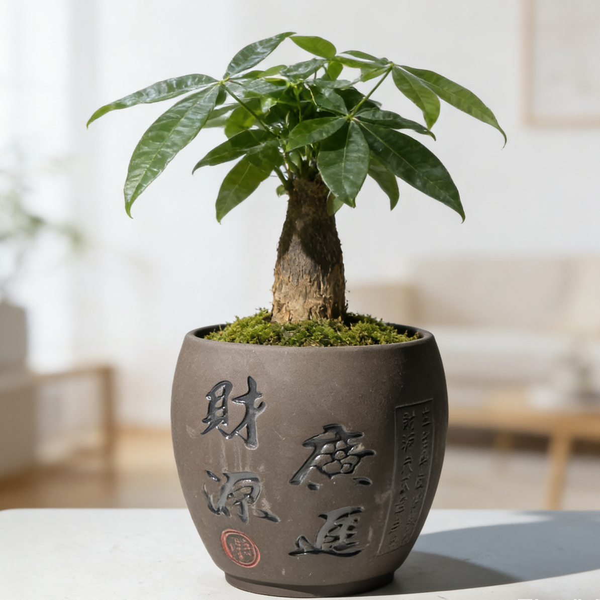 透气不烂根陶瓷花盆直径11高11桌面多肉专用茶花盆陶土透气花盆中