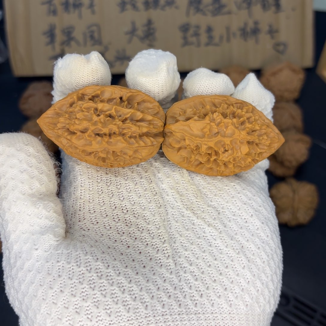 边35肚38高53精品招财鼠