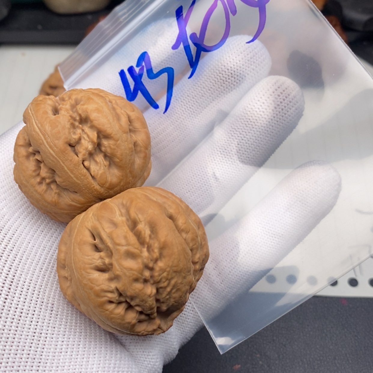【闪购商品】文玩核桃吊坠霸王龙