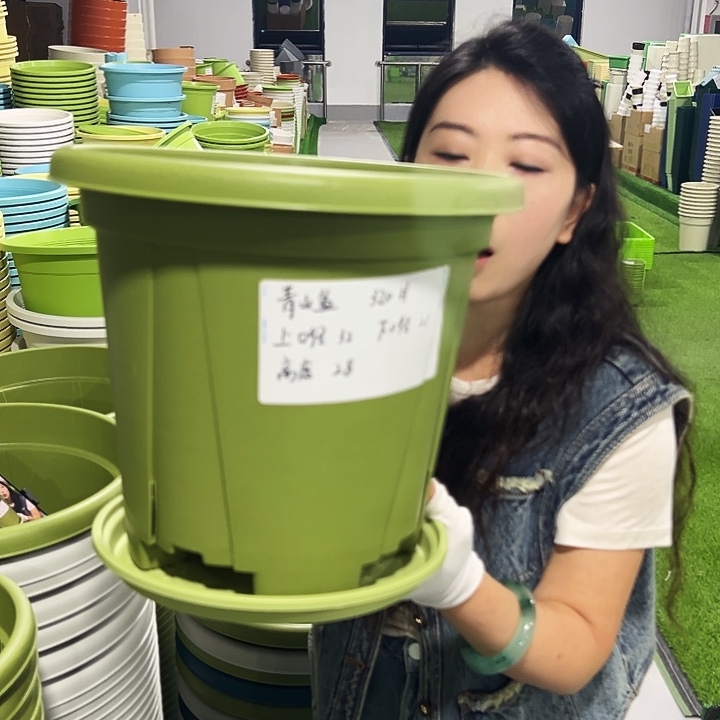 清仓青山口32高28果绿5只带托