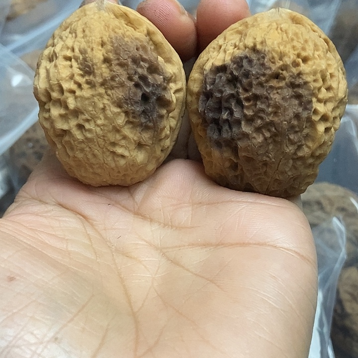 把件文玩核桃云南铁核桃基地40