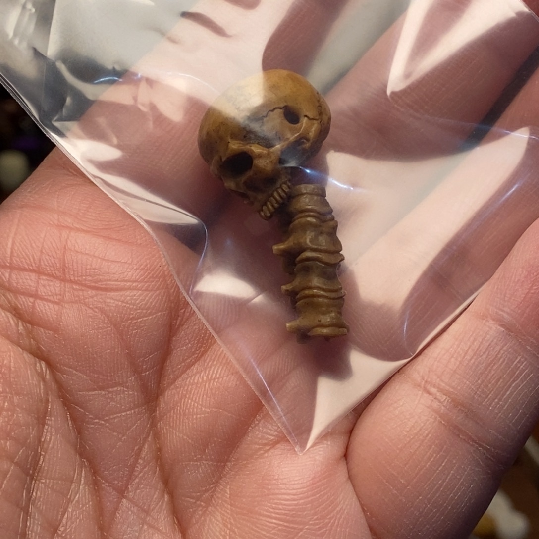 姚***司菩提籽类脊椎骷髅