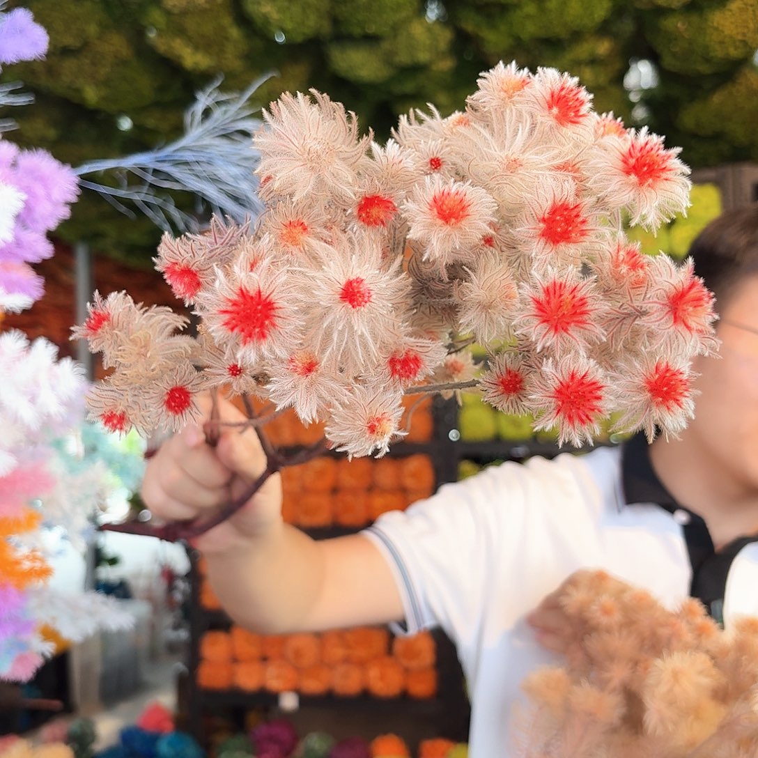 完全开放A92金鹅绒1束