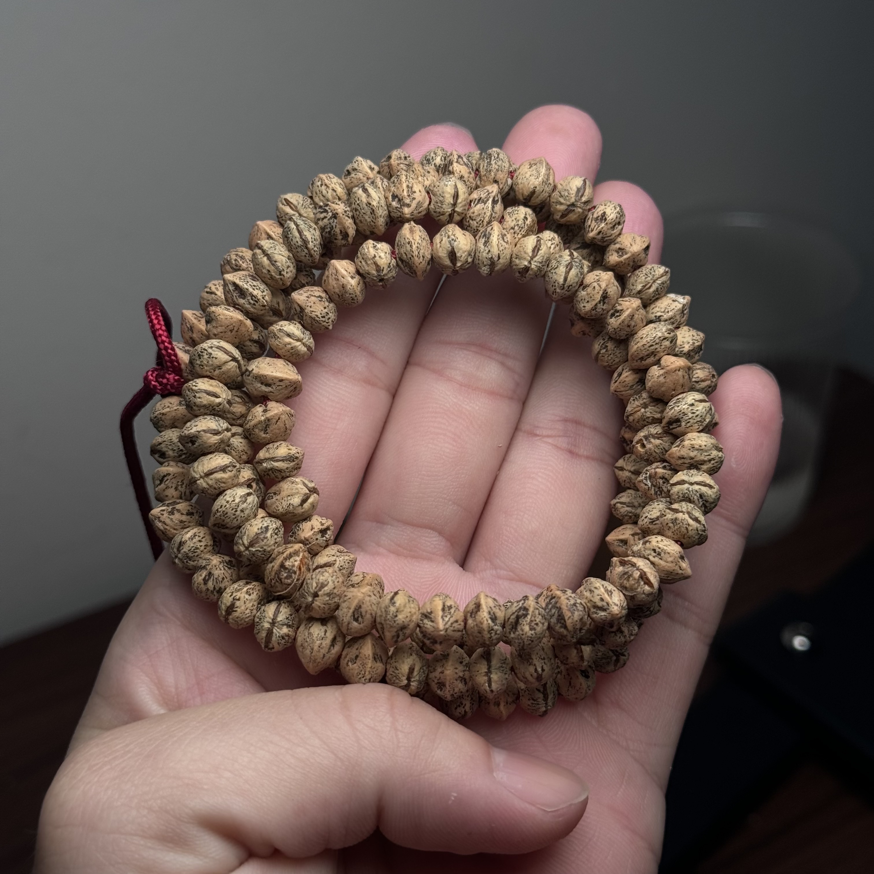 热振柏香籽小横打红芽虎斑纹