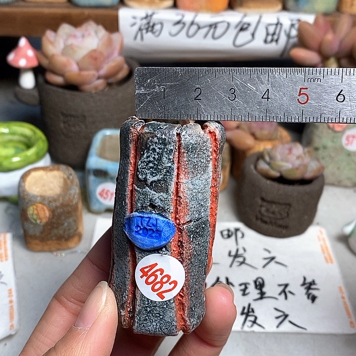 红陶拍5送一个小