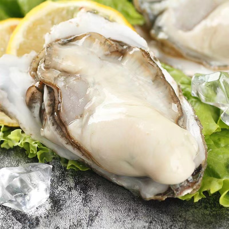  [10斤]单只7两-5两 [年货]正宗乳山精品冷水生蚝鲜活保肥保活