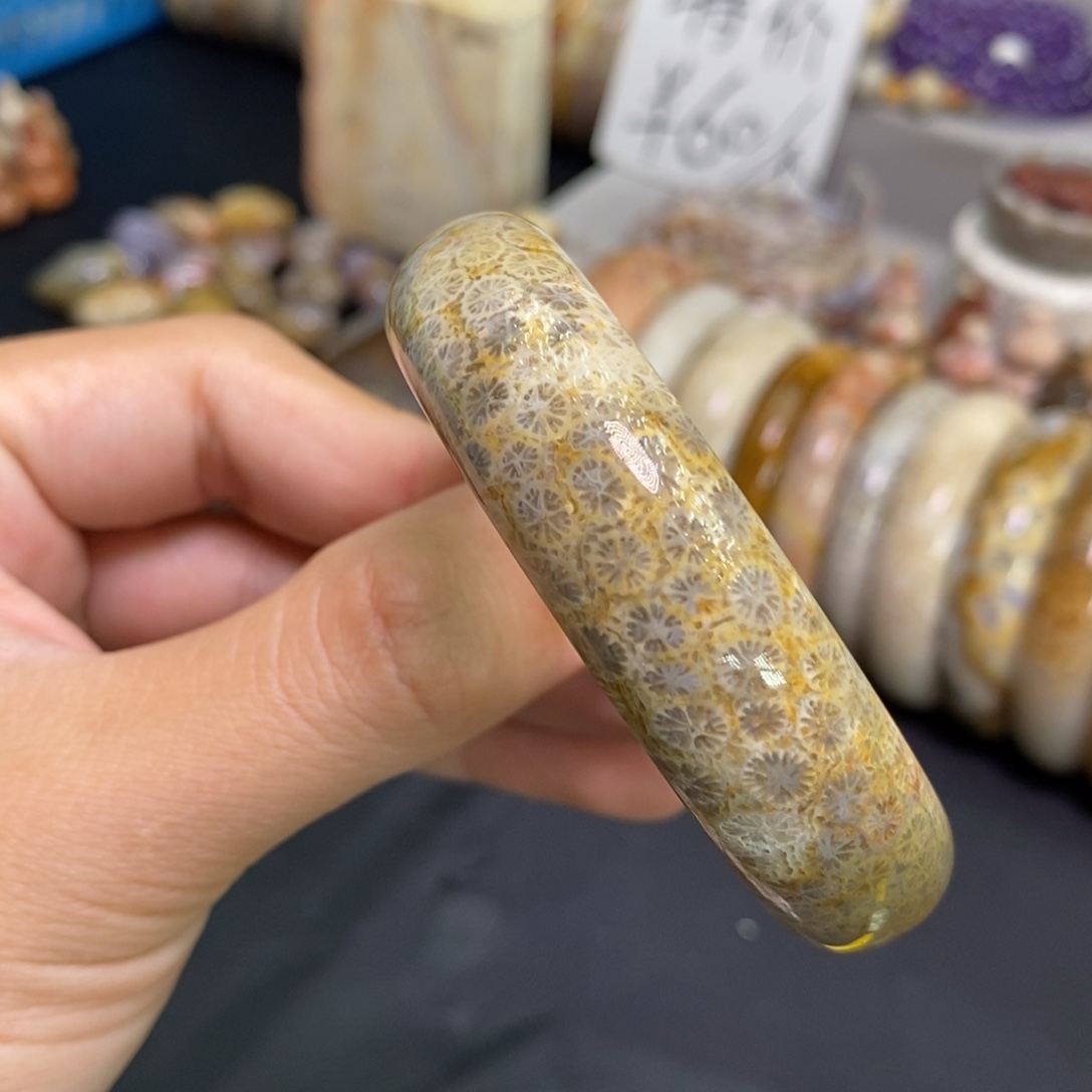 硅化玉未镶嵌手镯