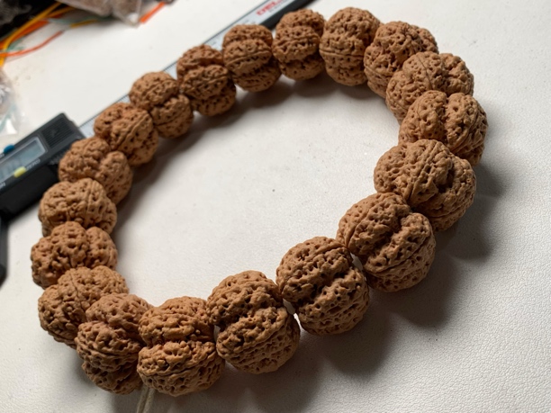 《天宫》大梅花手持25-30尺寸全