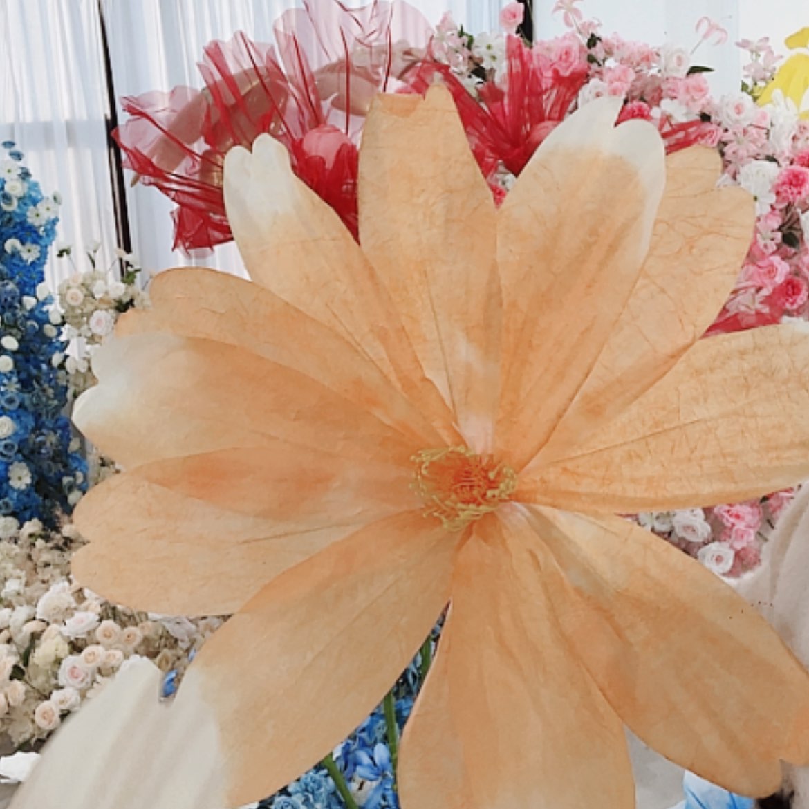 【闪购商品】单货头