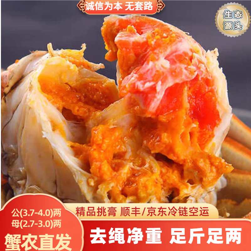【活蟹】洪泽湖精品大闸蟹公蟹3.7-4.0两母蟹2.7-3.0两6-10只螃蟹