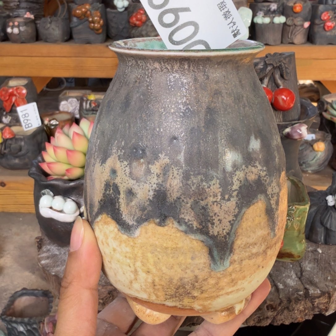 重庆小燕子欢迎大家099