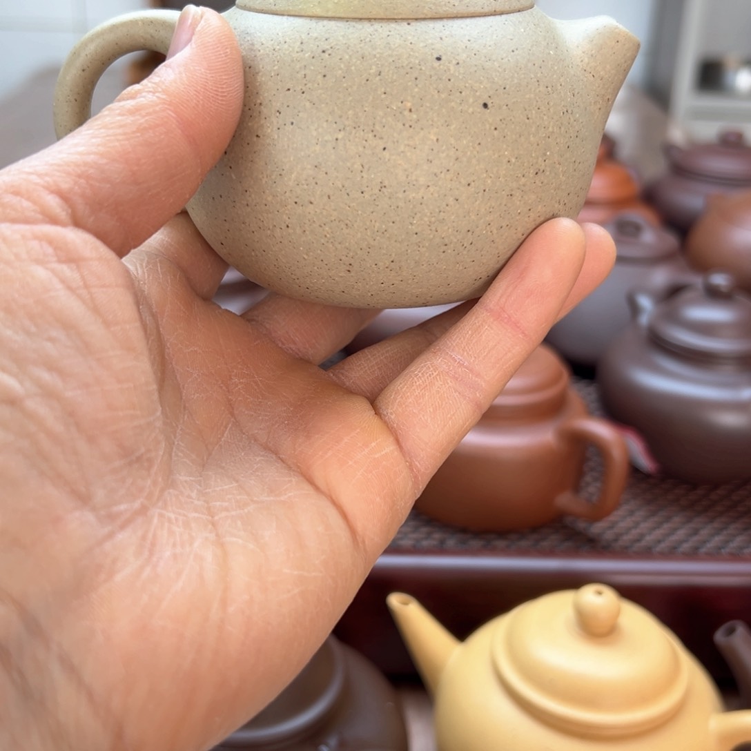 用****2紫砂壶半手本绿西施