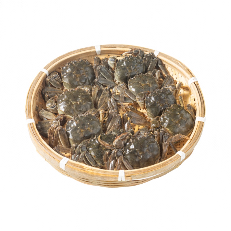 鲜活洪泽湖六月黄公母0.8-1.2两（8-12只）500g