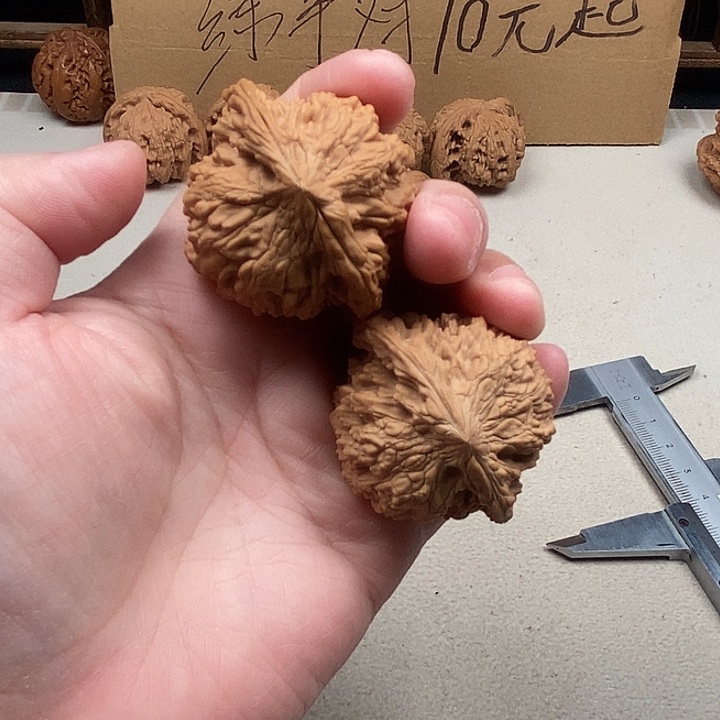 理***鱼龙脊菩提吊坠78.78.78.78.78.