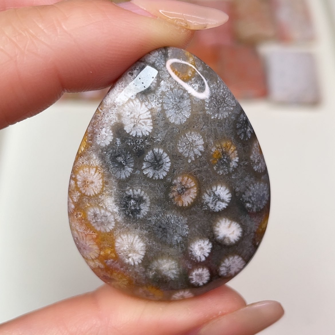 【闪购商品】未镶嵌吊坠(赠链)硅化玉