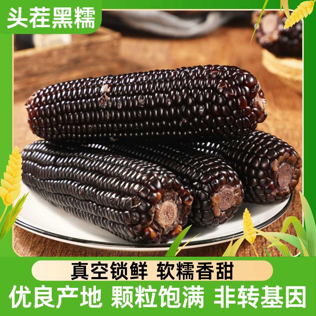 【整箱12支】东北当季头茬黑糯玉米大棒280-350g（含试吃4根） J