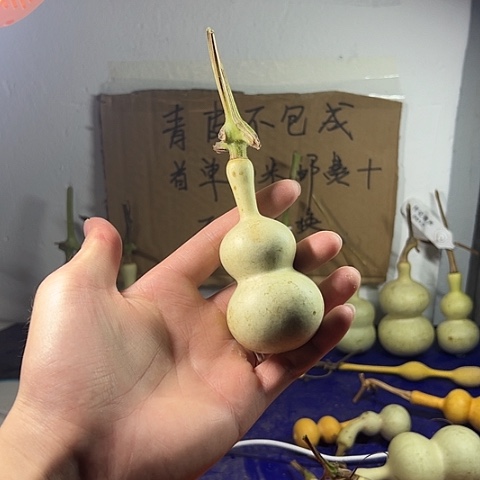携***月哈哈哈哈哈哈哈哈哈哈哈