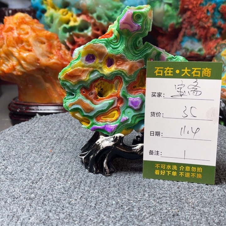 石头开播后将播出两个节目进行直播