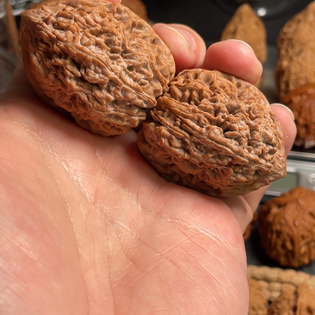 吊坠文玩核桃蒜头37+全品