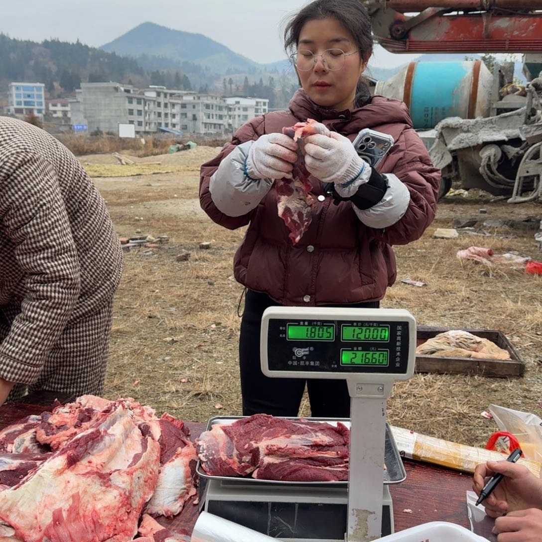 土黄牛中国大陆包装牛前腿