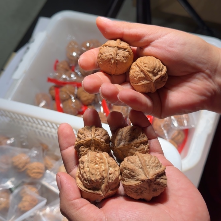 把件文玩核桃铁1号四棱