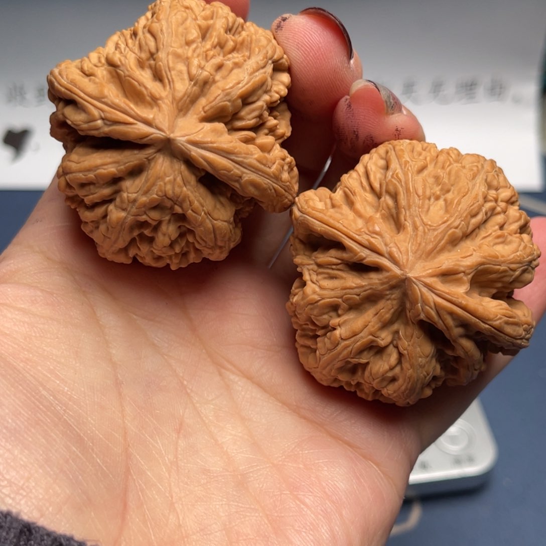 文玩核桃把件粗筋45