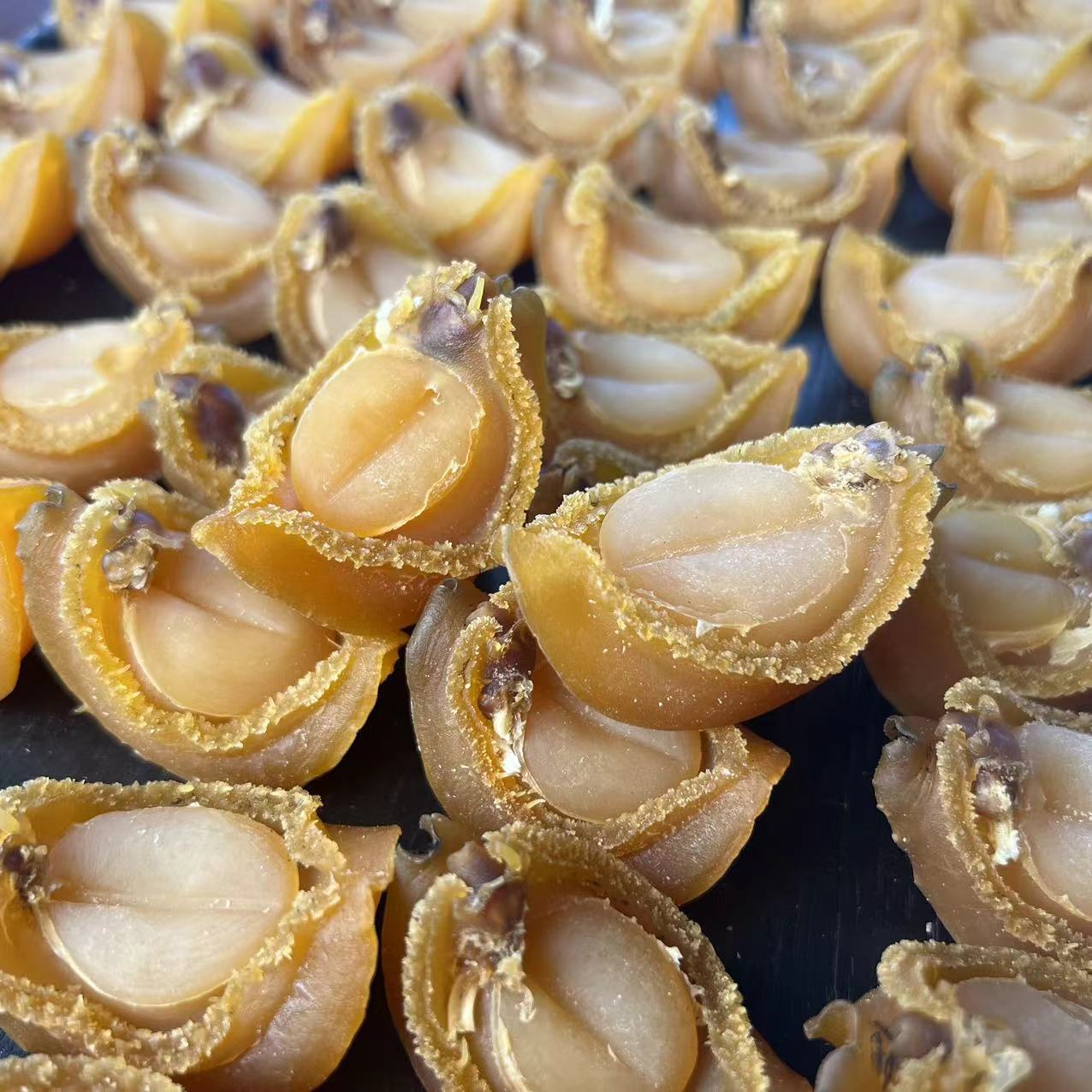 25头大连吉品鲍鱼干 