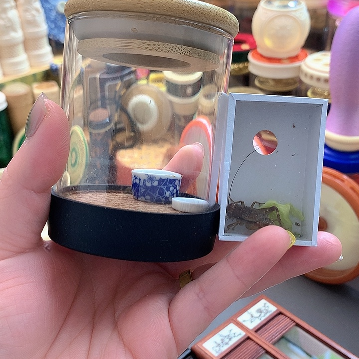 ༒***༒啊啊哈哈哈哈啊哈哈哈