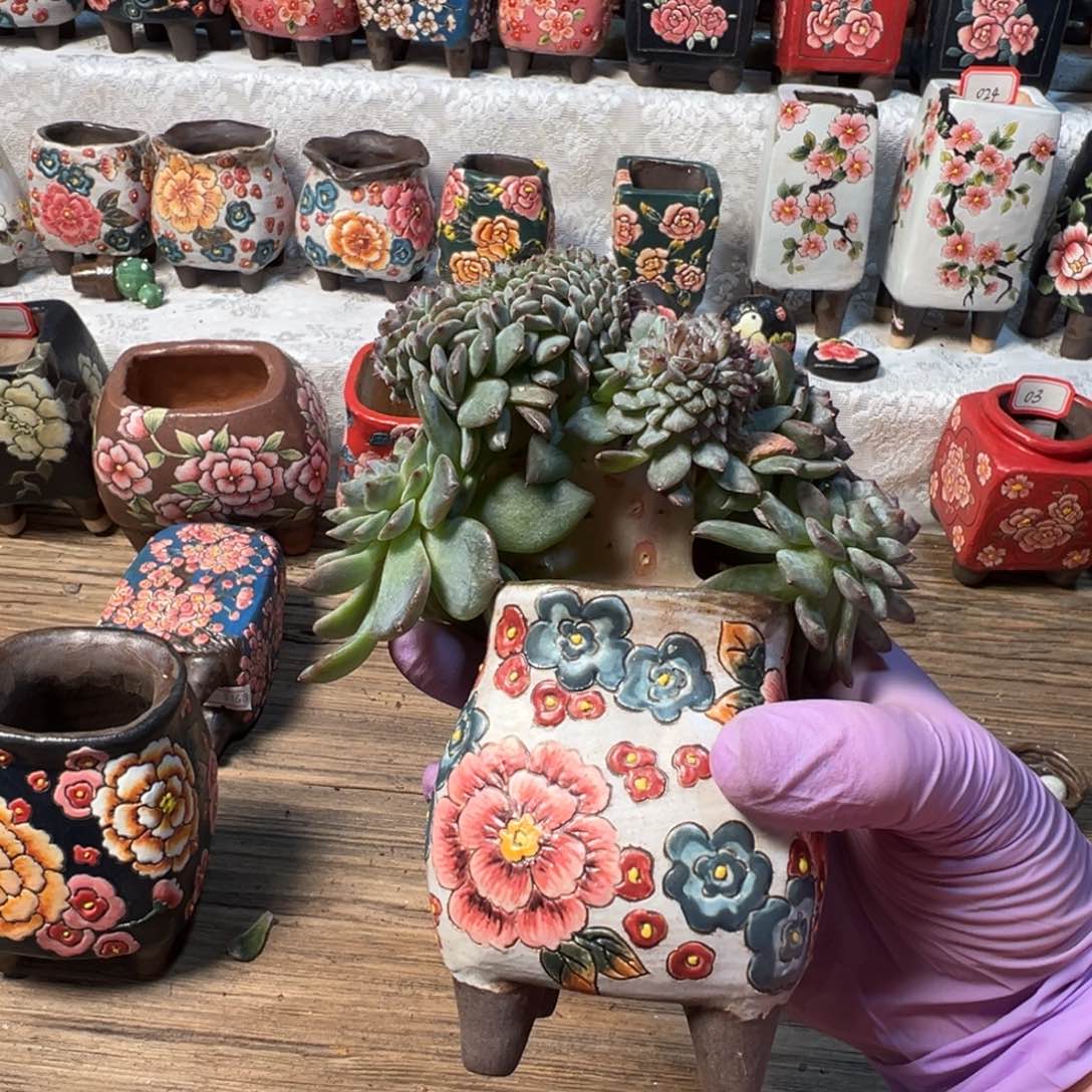 树莓 新年 新年快乐