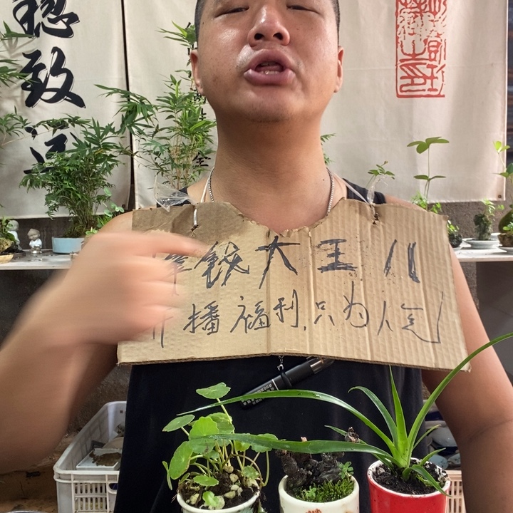 无花朵退款拉黑拉黑9
