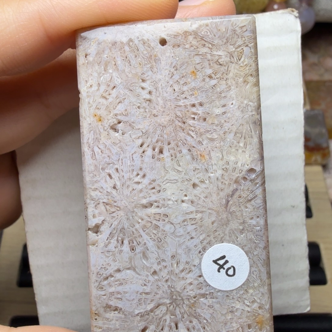 硅化玉未镶嵌紫灰色 骨骼霸王花