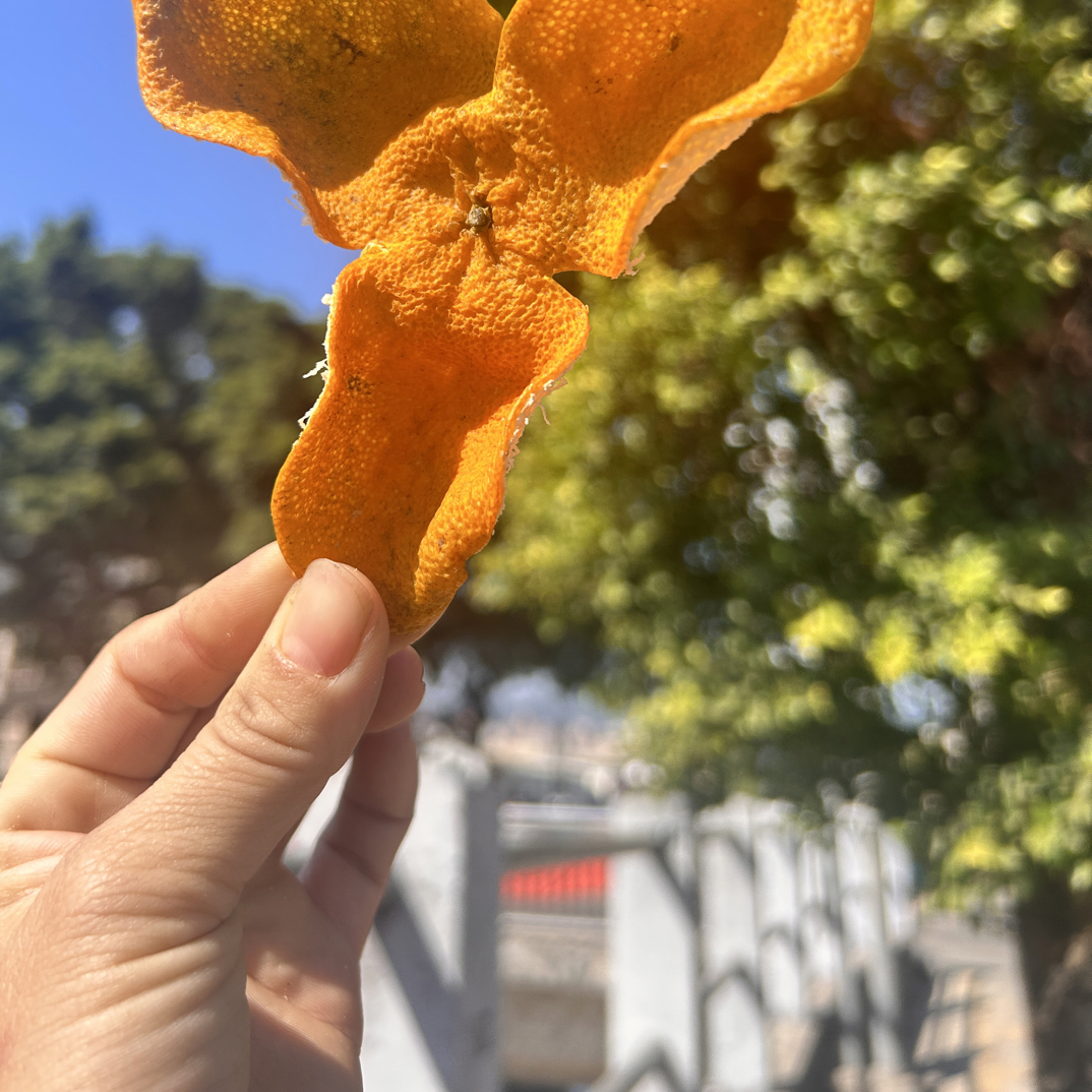 【天马原枝大红皮】正宗新会陈皮产地直销、花香、蜜香浓  收藏佳品