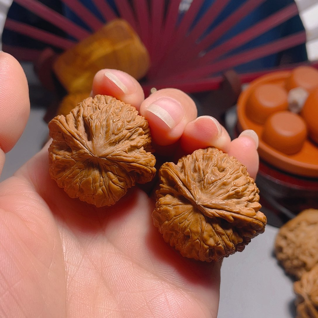 核桃手串/手链精品白狮子飞蛇