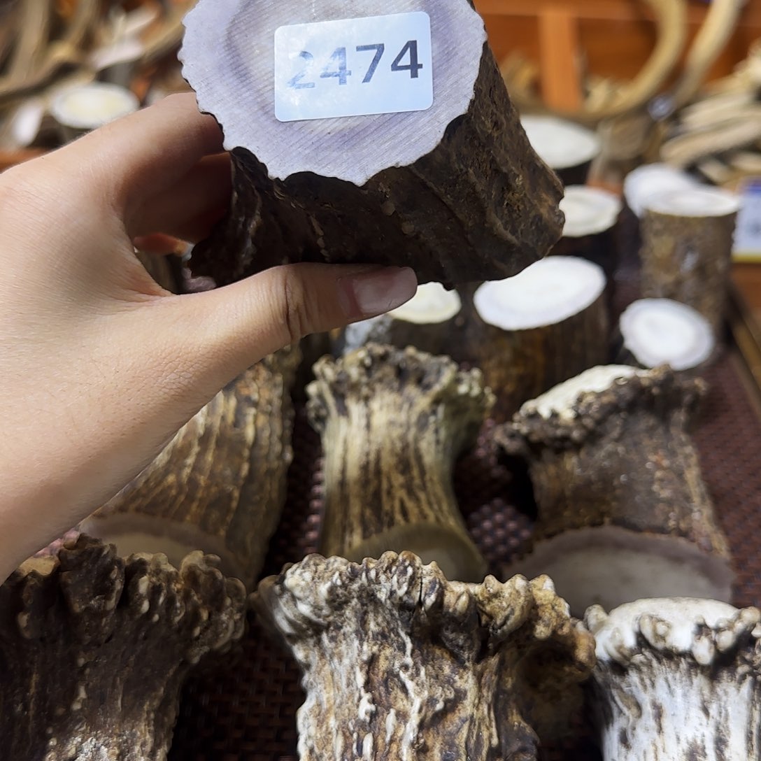 鹿骨手串/手链中段2474