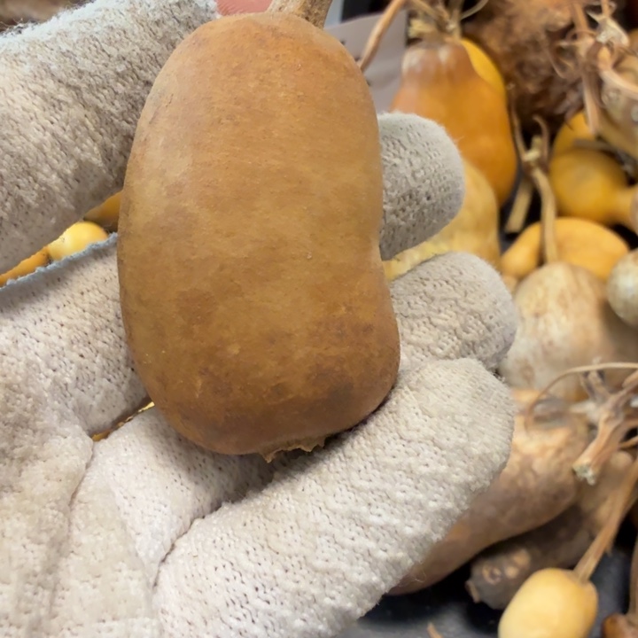 *****6666666777788888888