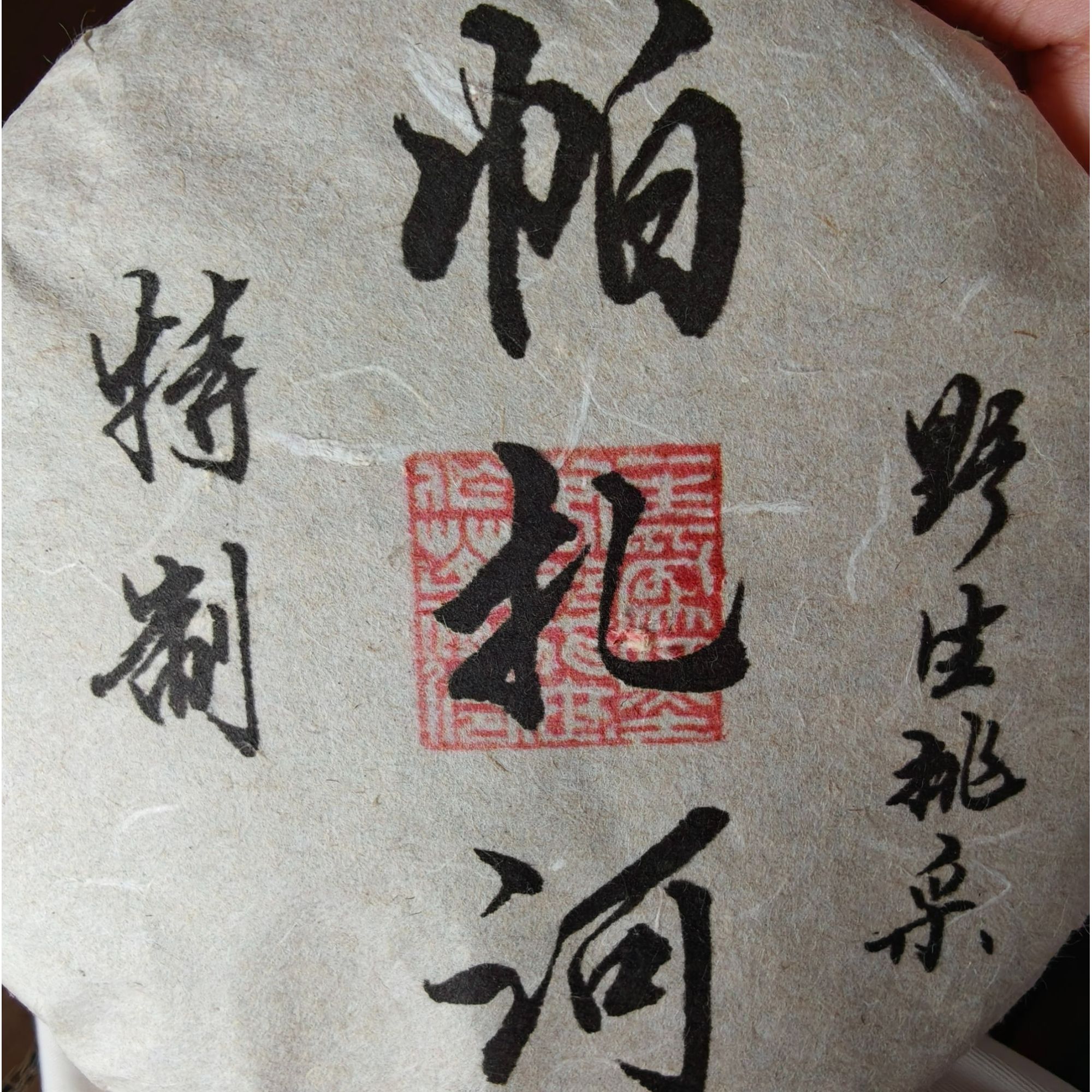 24年 帕扎河 野生挑采 200克 头春  普洱茶生茶